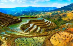 Breathtaking Banaue - From 2 up to 6 people