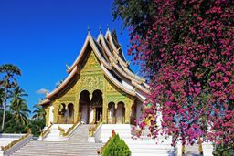 Luang Prabang Beauties