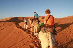 Moroccan Desert Safari Tour