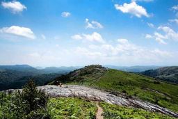 Kerala Cycling PureQues