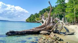 Port Blair & Havelock the Paradise – Honeymoon Package