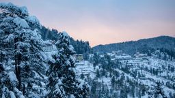 SHIMLA  – MANALI