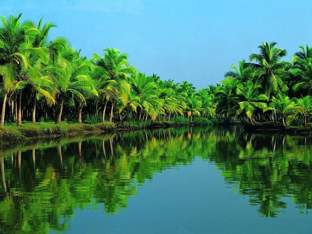 MUNNAR – THEKKADY – ALLEPPEY - COCHIN