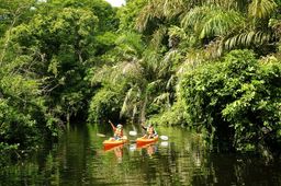 Self-Drive Beaches Nature with Tambor