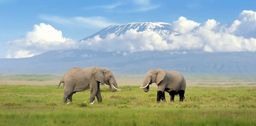 Rongai Route Mount Kilimanjaro Climb