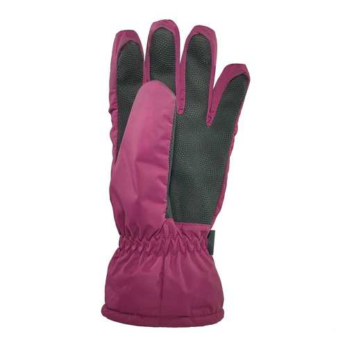 Snow Gloves