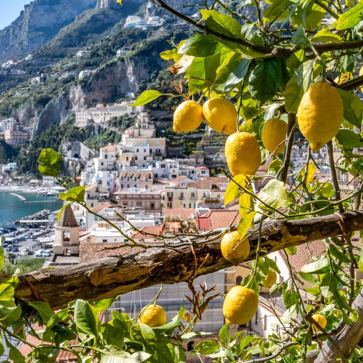 Amalfi