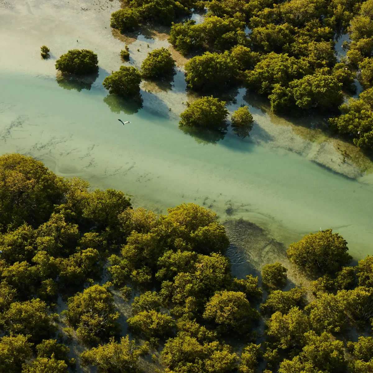 Purple Island (Bin Ghannam Island)