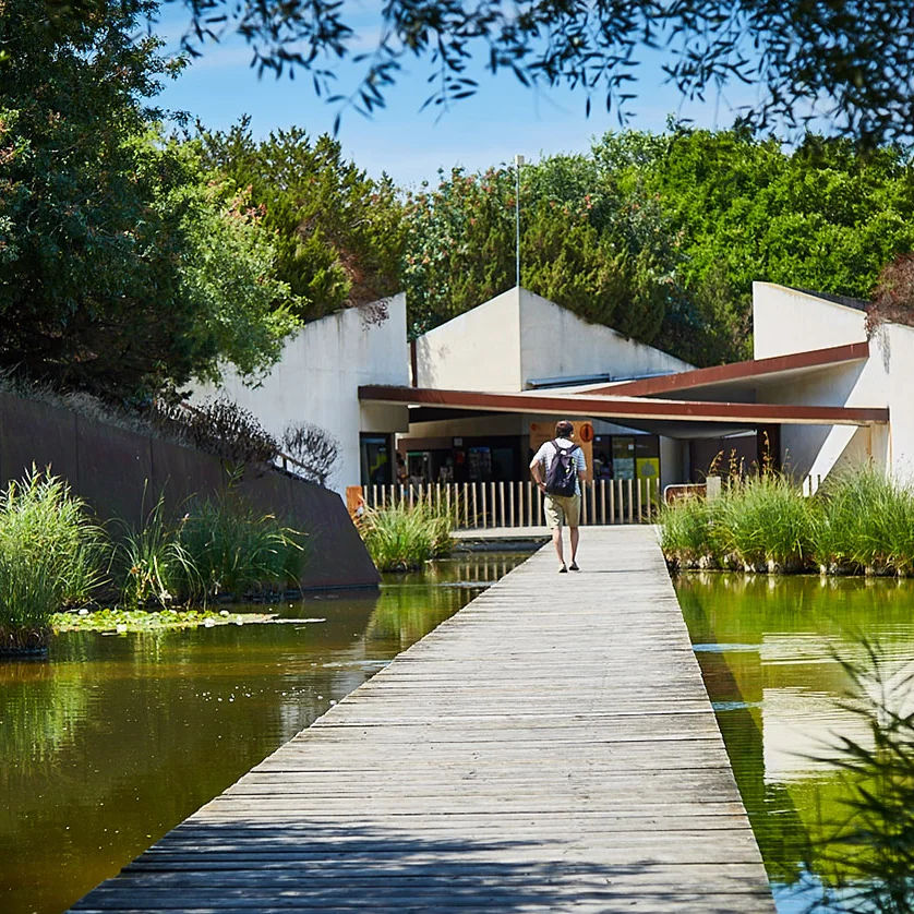 Montjuïc Botanical Garden