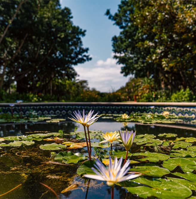 Botanical Trial Garden
