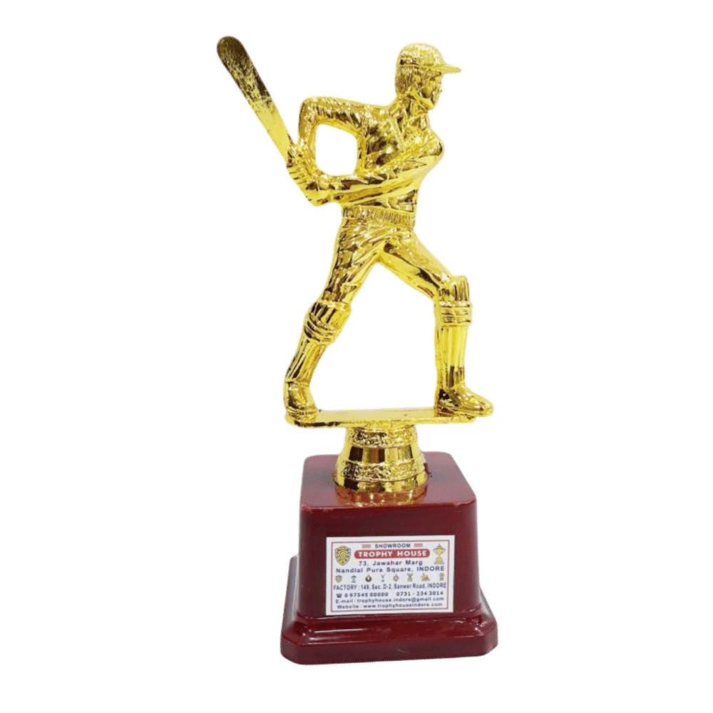Statue cricket