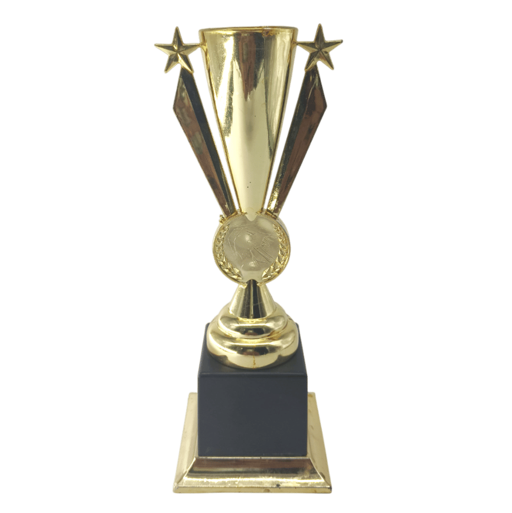 2 star v cup
