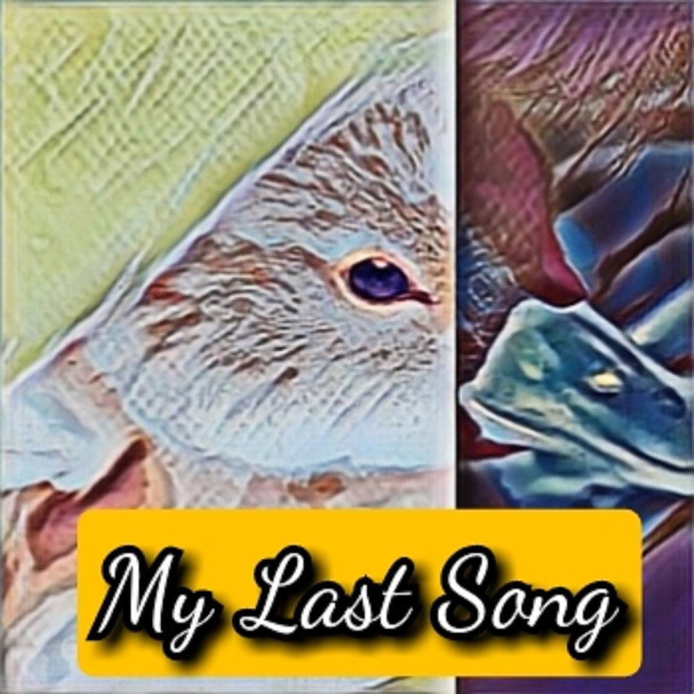 My Last Song
