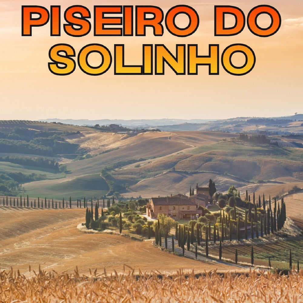 Piseiro Do Solinho
