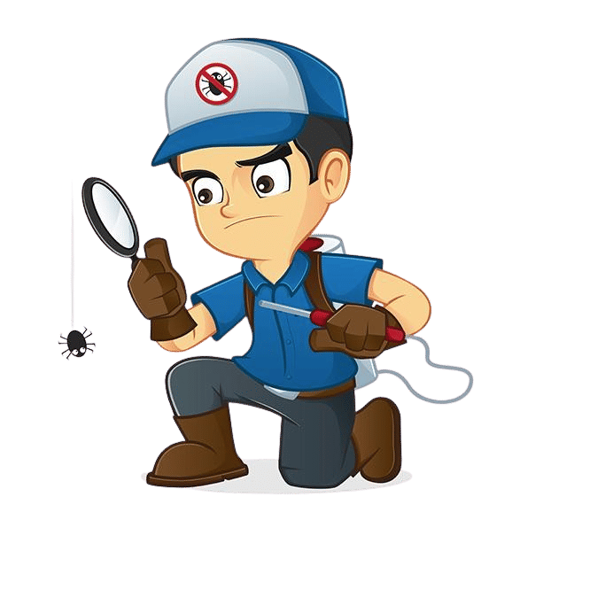 FAQS about Rodent Control Services in Fostoria, MI