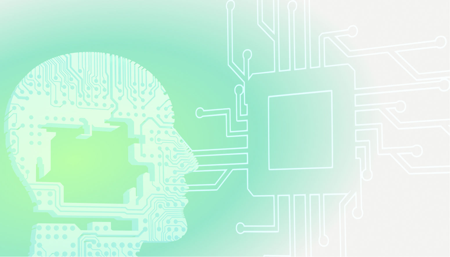 Hidden cost of fraudulent users