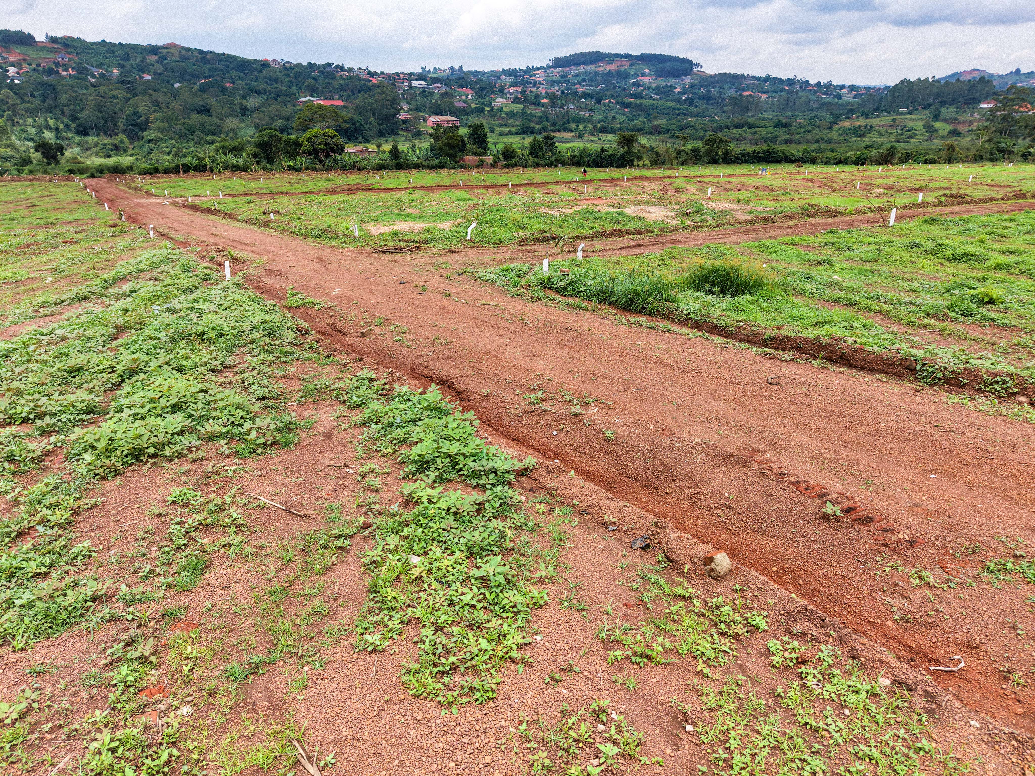 Mukono plots