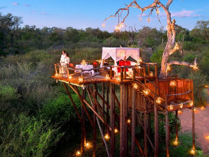 A tree house in the middle of a savannah.