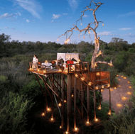 A tree house in the middle of a savannah.