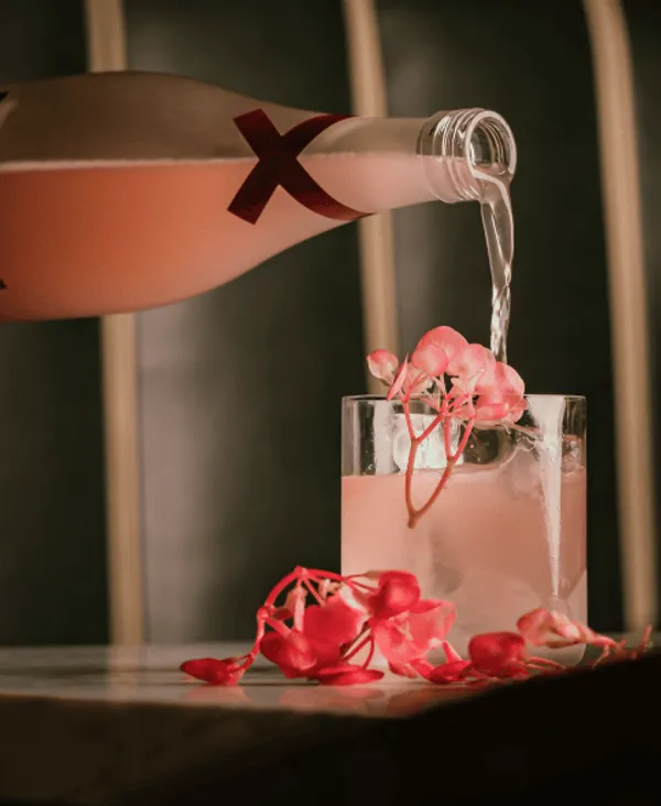 Plate of food in fine dining restaurant.