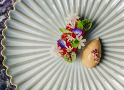 An image of a plate with a flower on it, Five-course lunch. Amethyst