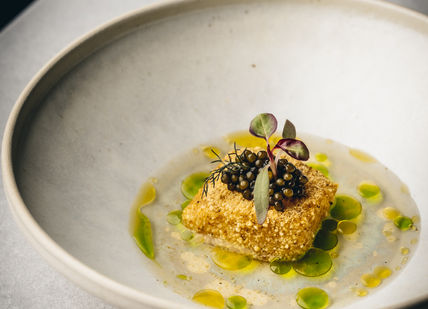 An image of a plate of food on a table, Five-course lunch. Amethyst