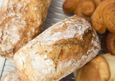 Picture of an Experience