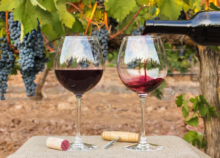 An image of a wine bottle and two glasses of wine, Tour And Tasting. Beacon Down Vineyard