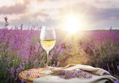 An image of a glass of wine