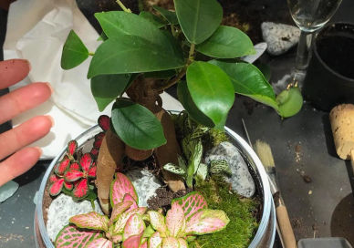 Picture of an Experience