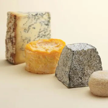 Four different types of cheese on a white surface