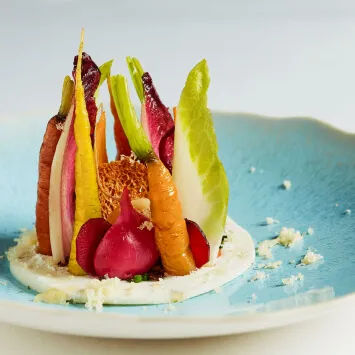 A plate with carrots and radishes on it.