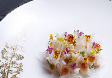 Picture of an Experience