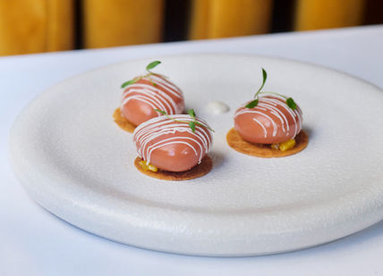 An image of a plate of food with a yellow line, Eight-Course Tasting Menu. Club Gascon