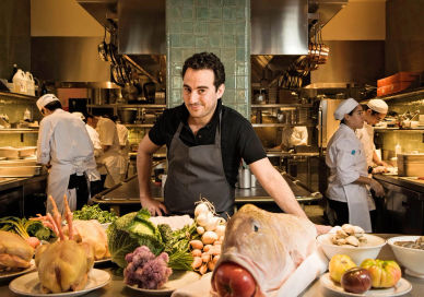 Picture of an Experience