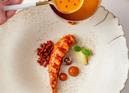 An image of a disht from a tasting menu. Frog by Adam Handling