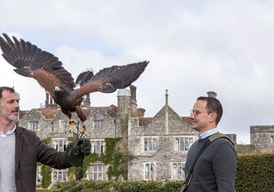 An image of a man holding a bird, Talons And Targets Experience. The Hawking Centre