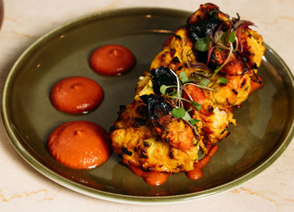 An image of an indian dish