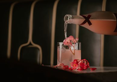 Picture of an Experience