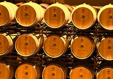 Spanish Wine selection in a barrel