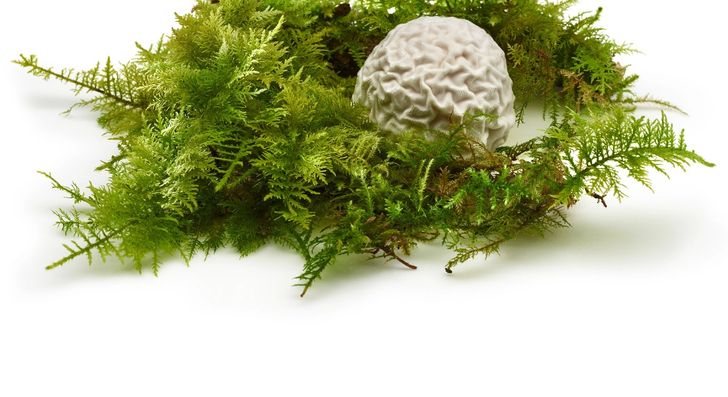Mugaritz Gift Experience Vouchers hero image