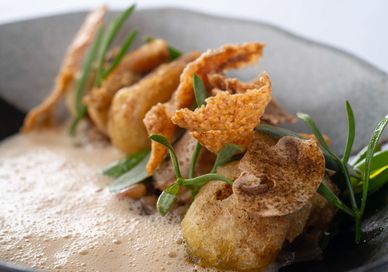An Image of a dish