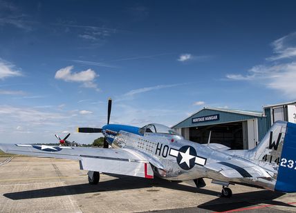 an image of a mustang