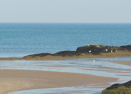 An image of a beach with a few birds, Golf Lesson and Supervised Play. St Andrews Golf Academy