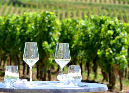 An image of a wine tasting in the vineyard, Bespoke Group Bordeaux Wine Making. VINIV