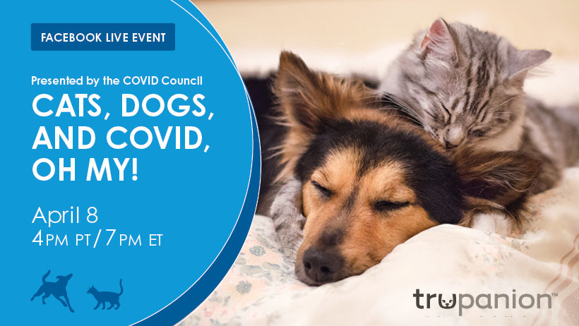 Cats, Dogs, and COVID-19, Oh My Facebook header