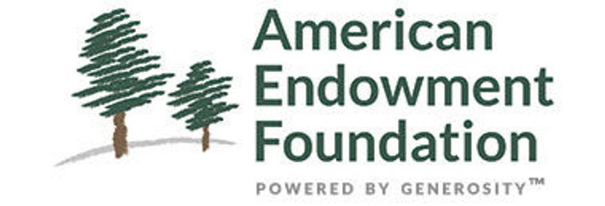 image of American Endowment Foundation, The