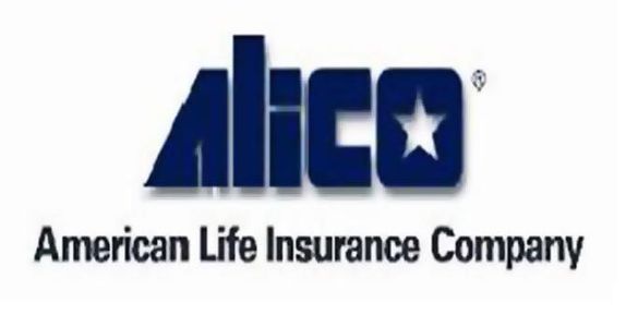 image of American Life Insurance Company