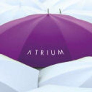 image of Atrium Underwriting Group