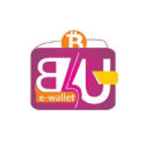 image of B4u Wallet